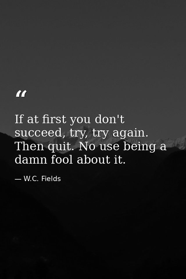 If at first you don't succeed, try, try again. Then quit. No use being a damn fool about it. — W.C. Fields