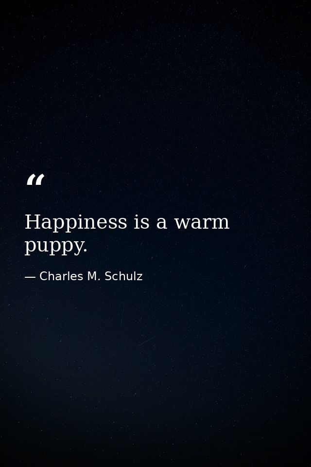 Happiness is a warm puppy. — Charles M. Schulz