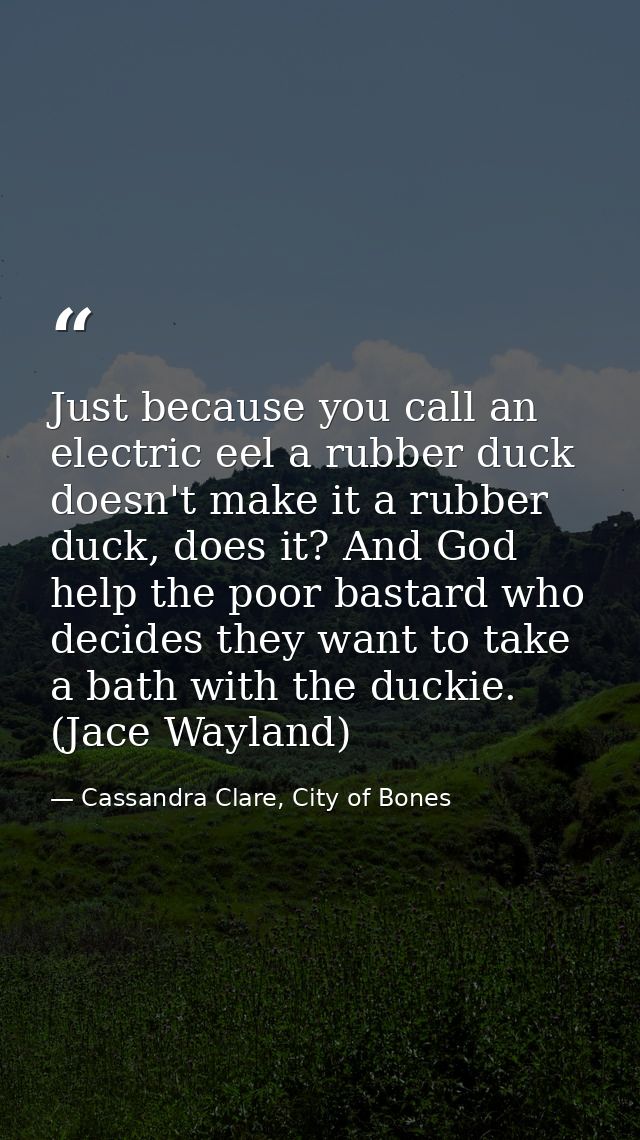 Just because you call an electric eel a rubber duck doesn't make it a rubber duck, does it? And God help the poor bastar — Cassandra Clare, City of Bones