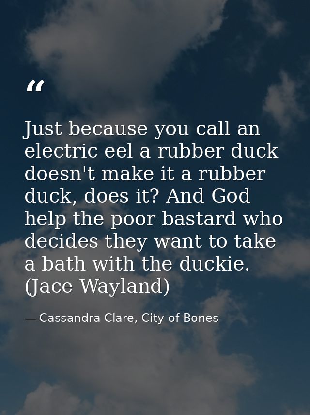 Just because you call an electric eel a rubber duck doesn't make it a rubber duck, does it? And God help the poor bastar — Cassandra Clare, City of Bones