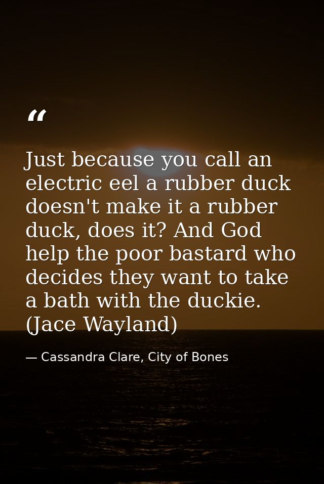 Just because you call an electric eel a rubber duck doesn't make it a rubber duck, does it? And God help the poor bastar — Cassandra Clare, City of Bones