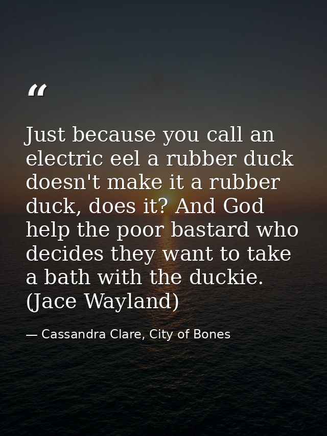 Just because you call an electric eel a rubber duck doesn't make it a rubber duck, does it? And God help the poor bastar — Cassandra Clare, City of Bones