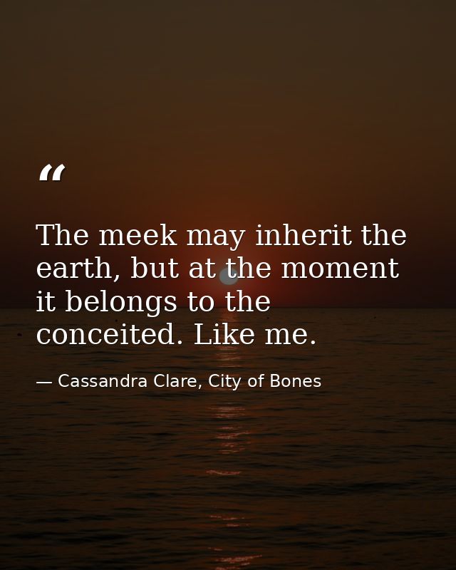 The meek may inherit the earth, but at the moment it belongs to the conceited. Like me. — Cassandra Clare, City of Bones