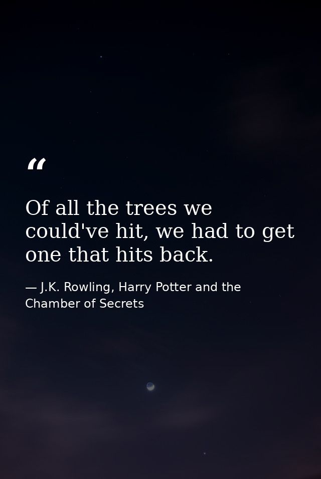 Of all the trees we could've hit, we had to get one that hits back. — J.K. Rowling, Harry Potter and the Chamber of Secrets