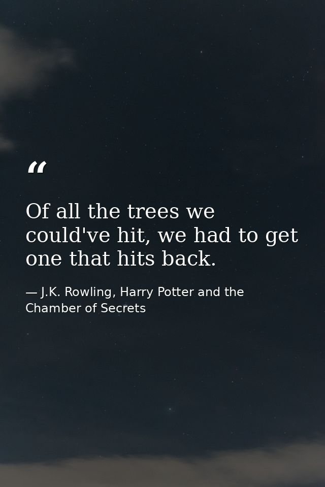 Of all the trees we could've hit, we had to get one that hits back. — J.K. Rowling, Harry Potter and the Chamber of Secrets
