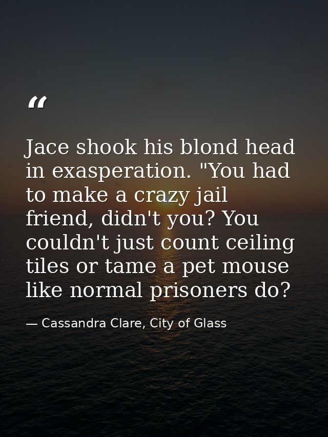 Jace shook his blond head in exasperation. "You had to make a crazy jail friend, didn't you? You couldn't just count cei — Cassandra Clare, City of Glass