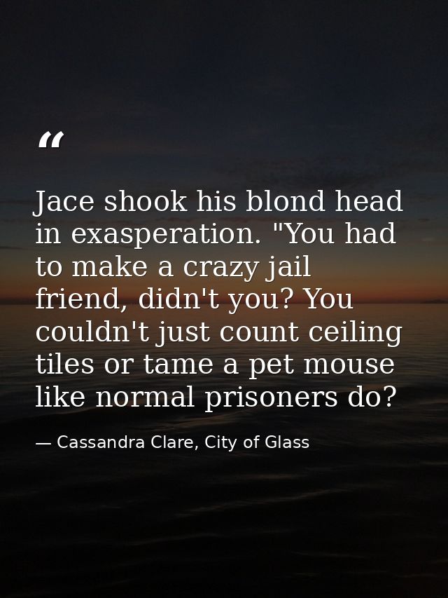Jace shook his blond head in exasperation. "You had to make a crazy jail friend, didn't you? You couldn't just count cei — Cassandra Clare, City of Glass