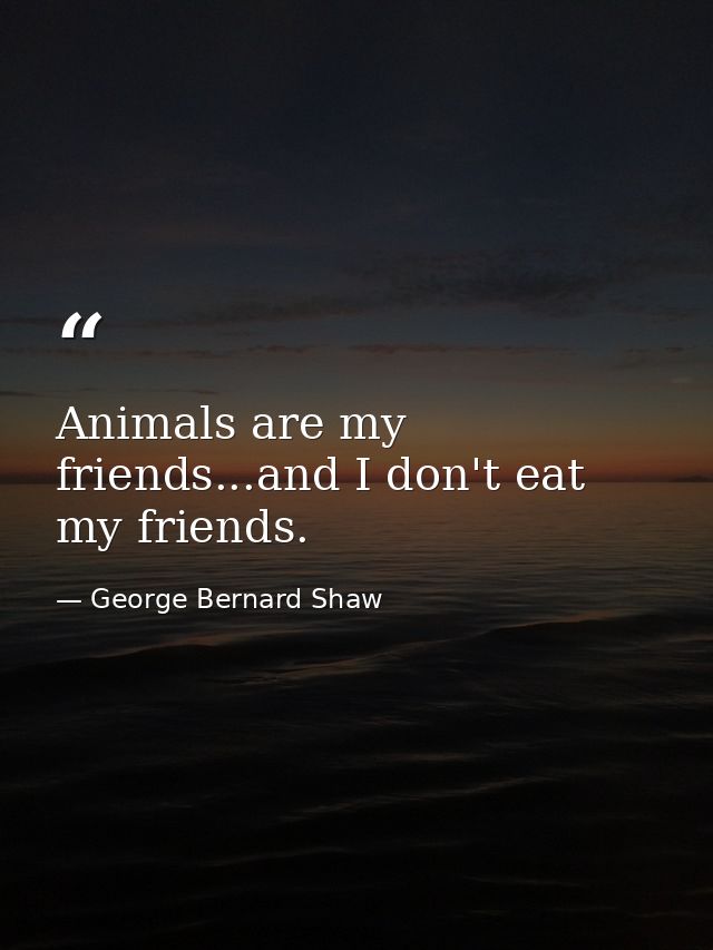 Animals are my friends...and I don't eat my friends. — George Bernard Shaw