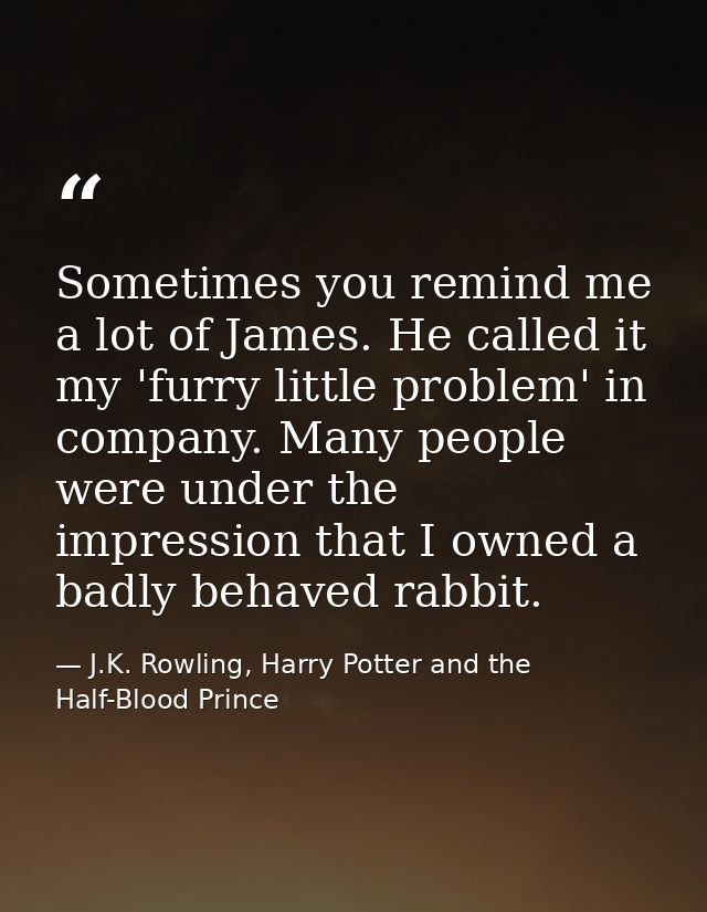 Sometimes you remind me a lot of James. He called it my 'furry little problem' in company. Many people were under the im — J.K. Rowling, Harry Potter and the Half-Blood Prince