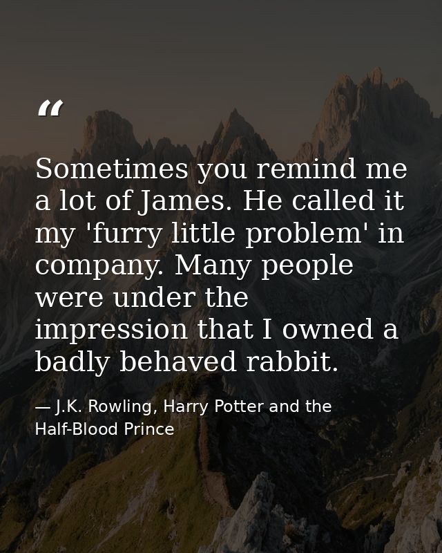 Sometimes you remind me a lot of James. He called it my 'furry little problem' in company. Many people were under the im — J.K. Rowling, Harry Potter and the Half-Blood Prince