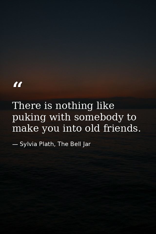 There is nothing like puking with somebody to make you into old friends. — Sylvia Plath, The Bell Jar