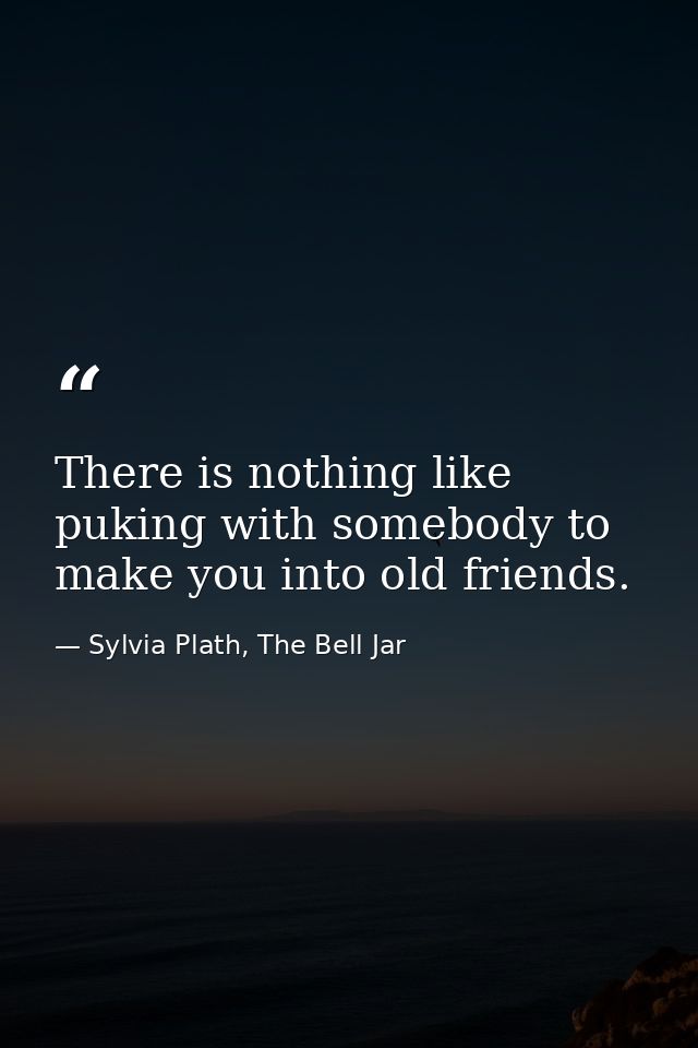 There is nothing like puking with somebody to make you into old friends. — Sylvia Plath, The Bell Jar