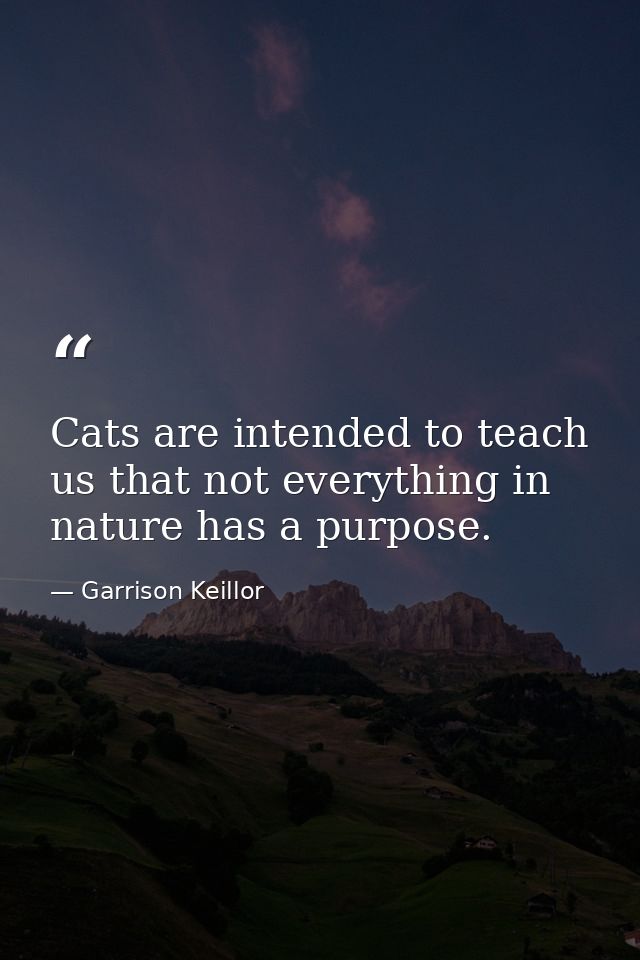 Cats are intended to teach us that not everything in nature has a purpose. — Garrison Keillor