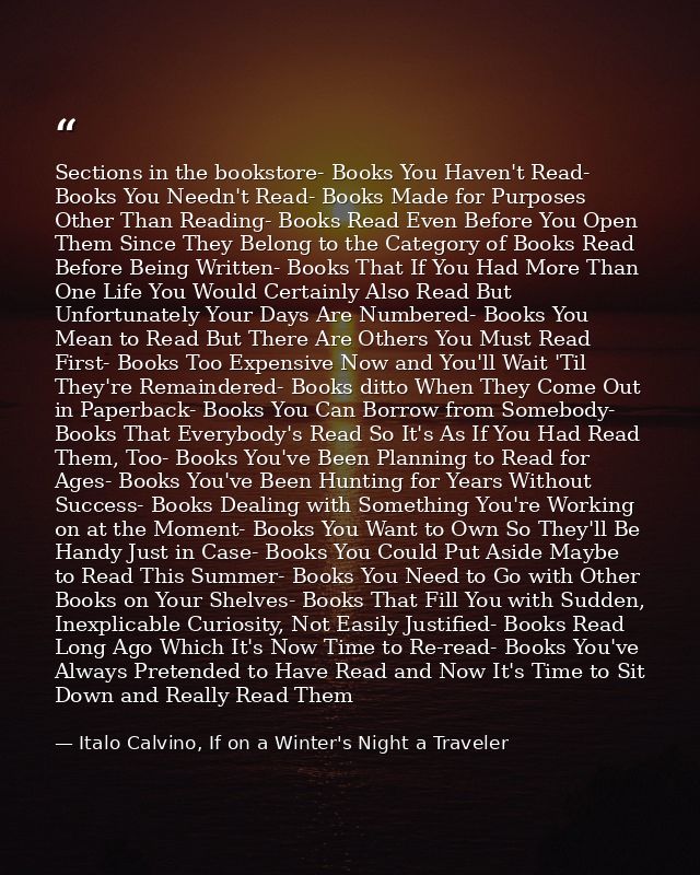 Sections in the bookstore- Books You Haven't Read- Books You Needn't Read- Books Made for Purposes Other Than Reading- B — Italo Calvino, If on a Winter's Night a Traveler
