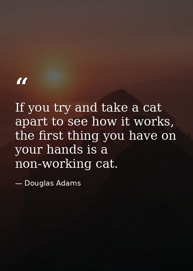 If you try and take a cat apart to see how it works, the first thing you have on your hands is a non-working cat. — Douglas Adams