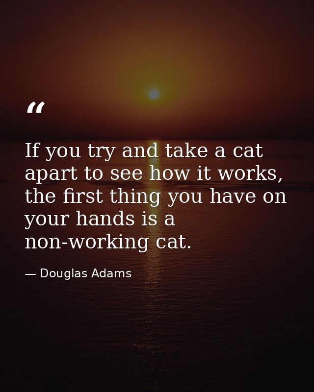 If you try and take a cat apart to see how it works, the first thing you have on your hands is a non-working cat. — Douglas Adams