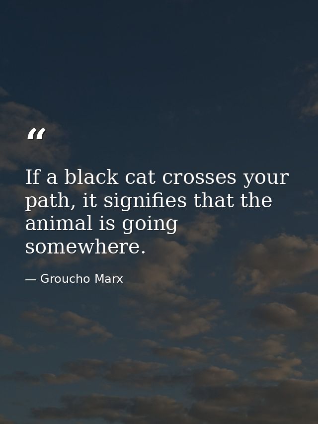 If a black cat crosses your path, it signifies that the animal is going somewhere. — Groucho Marx