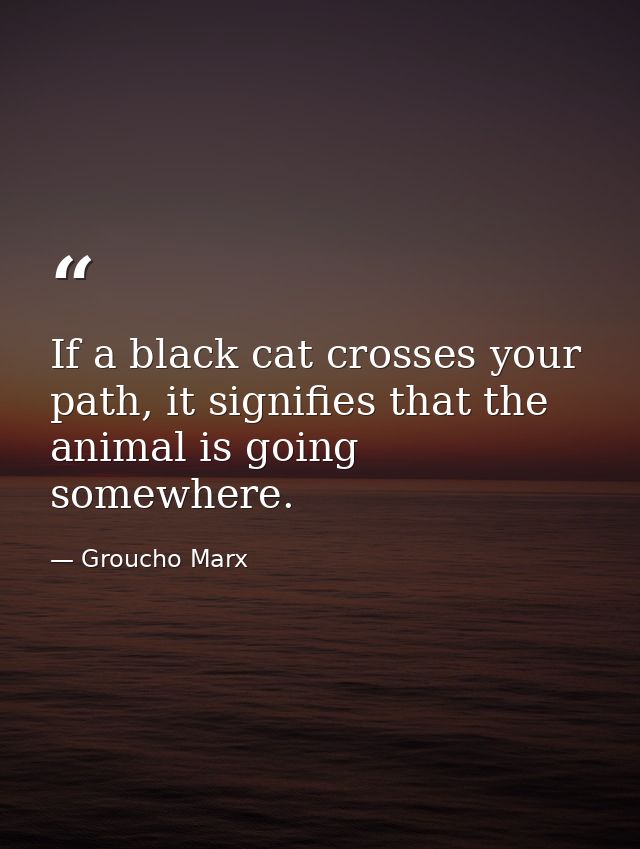 If a black cat crosses your path, it signifies that the animal is going somewhere. — Groucho Marx