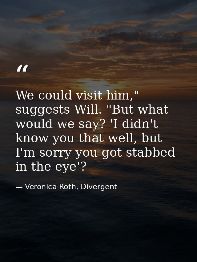 We could visit him," suggests Will. "But what would we say? 'I didn't know you that well, but I'm sorry you got stabbed  — Veronica Roth, Divergent