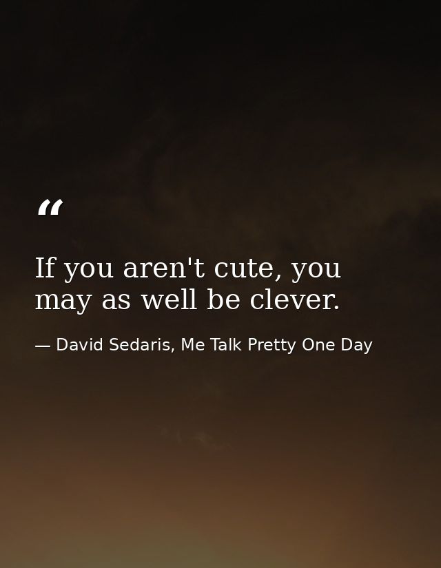 If you aren't cute, you may as well be clever. — David Sedaris, Me Talk Pretty One Day