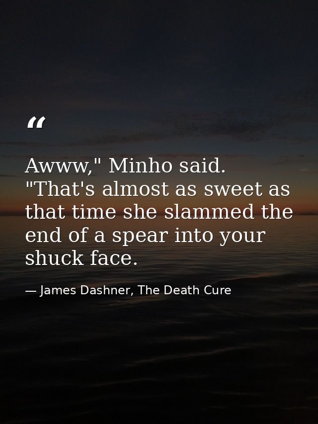 Awww," Minho said. "That's almost as sweet as that time she slammed the end of a spear into your shuck face. — James Dashner, The Death Cure