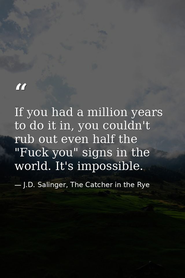 If you had a million years to do it in, you couldn't rub out even half the "Fuck you" signs in the world. It's impossibl — J.D. Salinger, The Catcher in the Rye