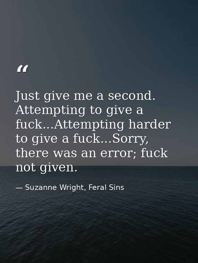Just give me a second. Attempting to give a fuck...Attempting harder to give a fuck...Sorry, there was an error; fuck no — Suzanne Wright, Feral Sins