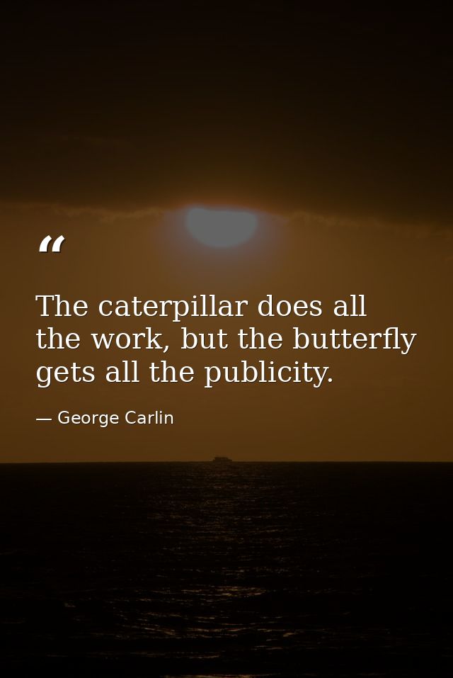 The caterpillar does all the work, but the butterfly gets all the publicity. — George Carlin