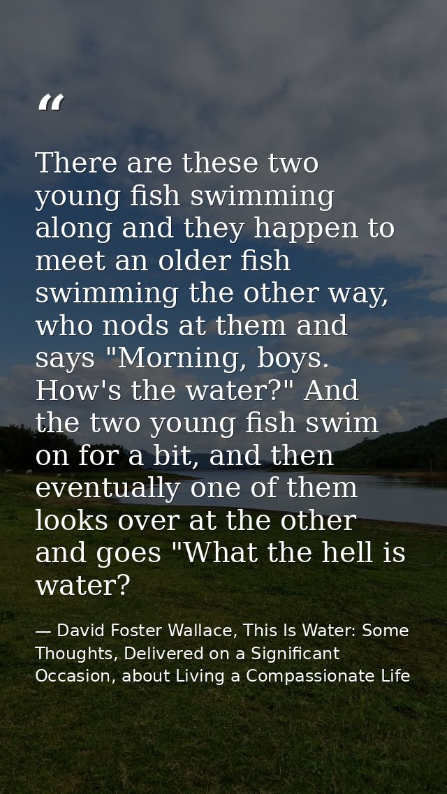 There are these two young fish swimming along and they happen to meet an older fish swimming the other way, who nods at  — David Foster Wallace, This Is Water: Some Thoughts, Delivered on a Significant Occasion, about Living a Compassionate Life
