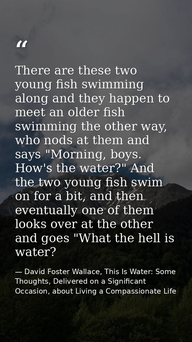 There are these two young fish swimming along and they happen to meet an older fish swimming the other way, who nods at  — David Foster Wallace, This Is Water: Some Thoughts, Delivered on a Significant Occasion, about Living a Compassionate Life