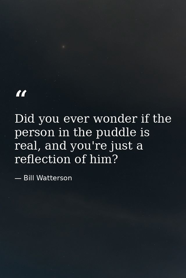 Did you ever wonder if the person in the puddle is real, and you're just a reflection of him? — Bill Watterson