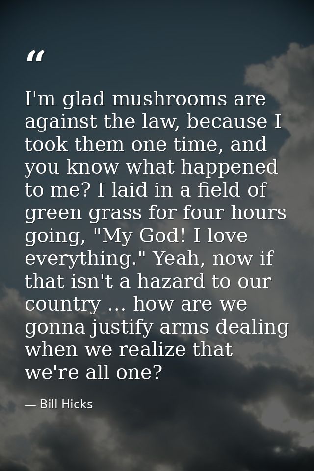 I'm glad mushrooms are against the law, because I took them one time, and you know what happened to me? I laid in a fiel — Bill Hicks