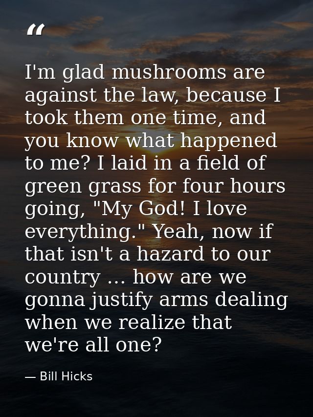 I'm glad mushrooms are against the law, because I took them one time, and you know what happened to me? I laid in a fiel — Bill Hicks