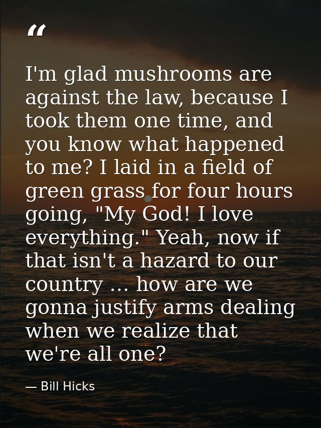 I'm glad mushrooms are against the law, because I took them one time, and you know what happened to me? I laid in a fiel — Bill Hicks