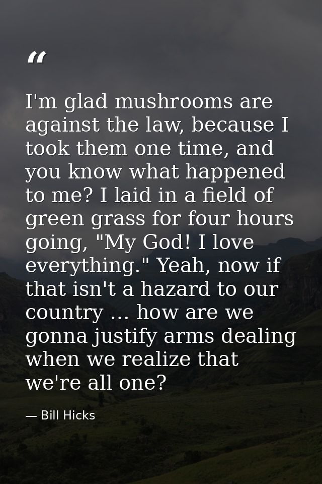 I'm glad mushrooms are against the law, because I took them one time, and you know what happened to me? I laid in a fiel — Bill Hicks