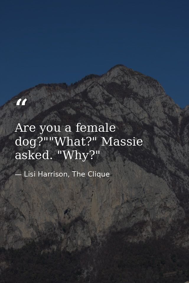 Are you a female dog?""What?" Massie asked. "Why?" — Lisi Harrison, The Clique