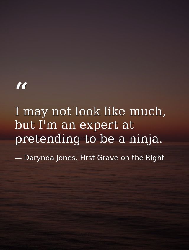I may not look like much, but I'm an expert at pretending to be a ninja. — Darynda Jones, First Grave on the Right