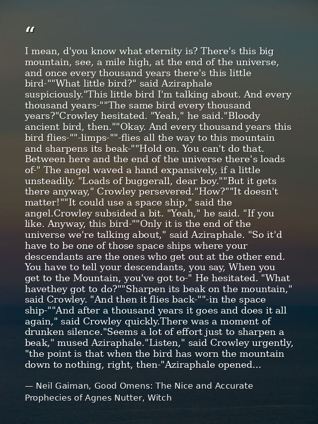 I mean, d'you know what eternity is? There's this big mountain, see, a mile high, at the end of the universe, and once e — Neil Gaiman, Good Omens: The Nice and Accurate Prophecies of Agnes Nutter, Witch