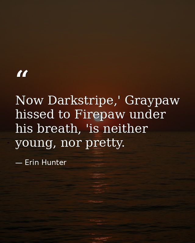 Now Darkstripe,' Graypaw hissed to Firepaw under his breath, 'is neither young, nor pretty. — Erin Hunter