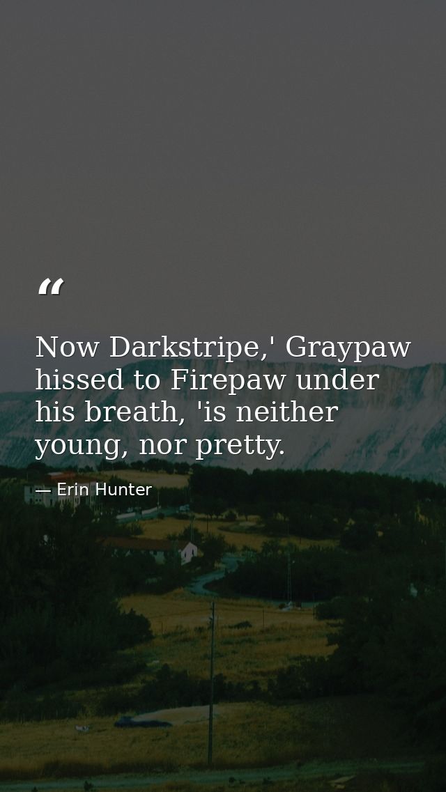 Now Darkstripe,' Graypaw hissed to Firepaw under his breath, 'is neither young, nor pretty. — Erin Hunter