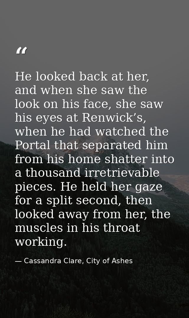 He looked back at her, and when she saw the look on his face, she saw his eyes at Renwick’s, when he had watched the Por — Cassandra Clare, City of Ashes