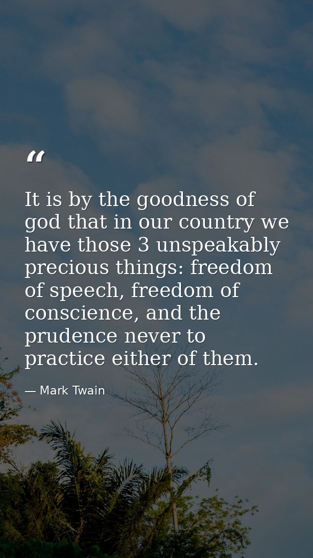 It is by the goodness of god that in our country we have those 3 unspeakably precious things: freedom of speech, freedom — Mark Twain