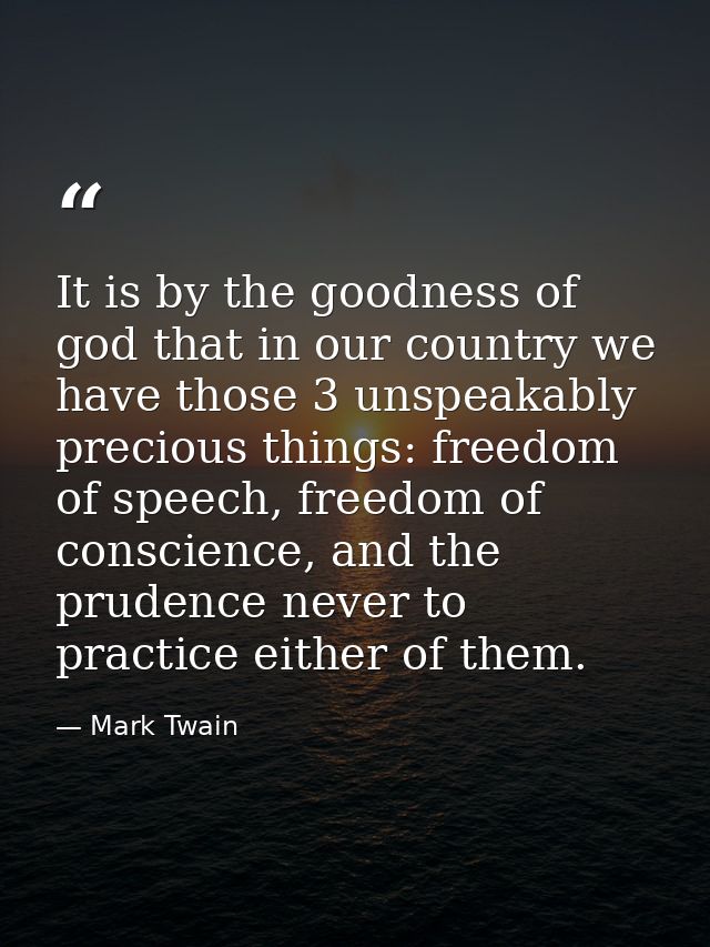It is by the goodness of god that in our country we have those 3 unspeakably precious things: freedom of speech, freedom — Mark Twain