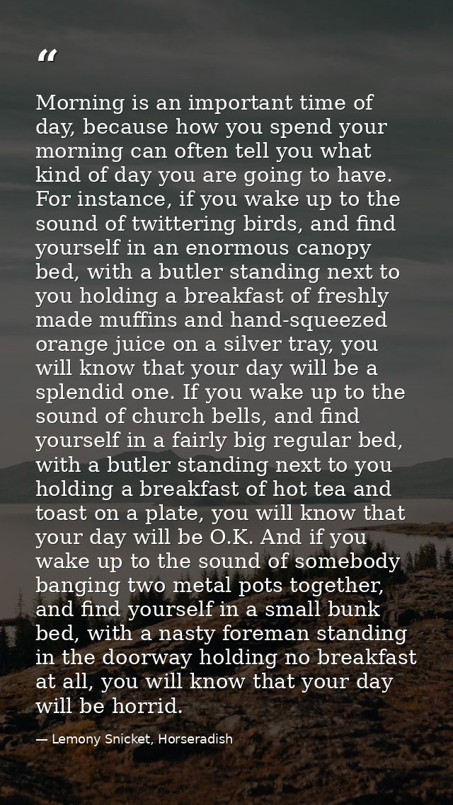 Morning is an important time of day, because how you spend your morning can often tell you what kind of day you are goin — Lemony Snicket, Horseradish