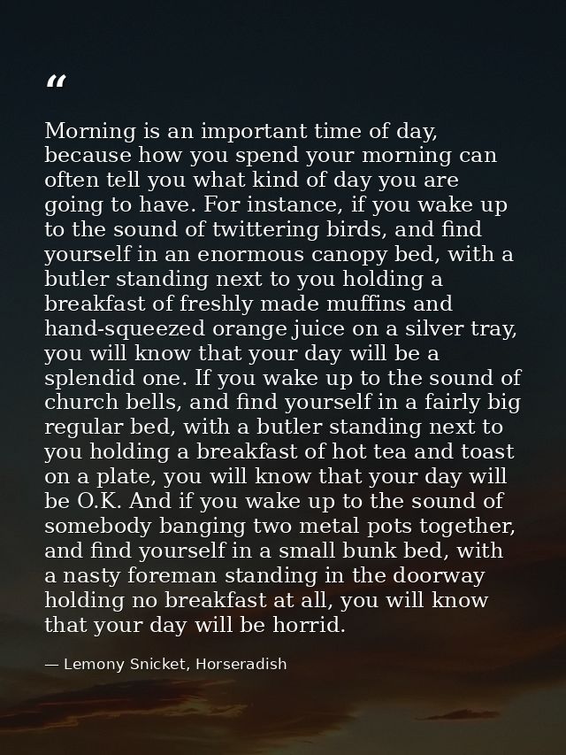 Morning is an important time of day, because how you spend your morning can often tell you what kind of day you are goin — Lemony Snicket, Horseradish