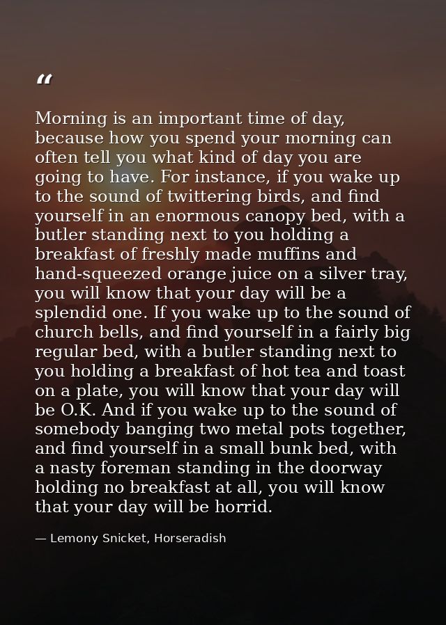 Morning is an important time of day, because how you spend your morning can often tell you what kind of day you are goin — Lemony Snicket, Horseradish