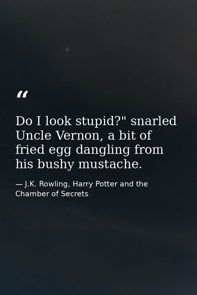 Do I look stupid?" snarled Uncle Vernon, a bit of fried egg dangling from his bushy mustache. — J.K. Rowling, Harry Potter and the Chamber of Secrets