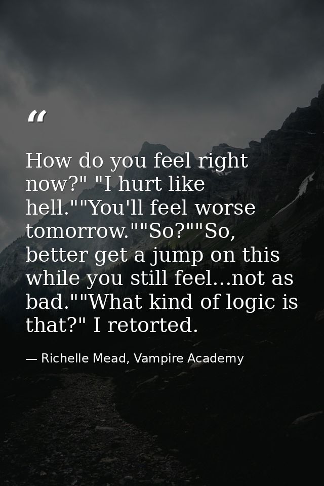 How do you feel right now?" "I hurt like hell.""You'll feel worse tomorrow.""So?""So, better get a jump on this while yo — Richelle Mead, Vampire Academy