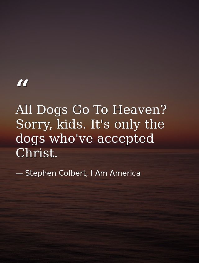 All Dogs Go To Heaven? Sorry, kids. It's only the dogs who've accepted Christ. — Stephen Colbert, I Am America