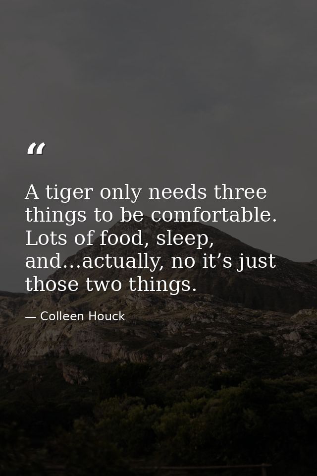 A tiger only needs three things to be comfortable. Lots of food, sleep, and…actually, no it’s just those two things. — Colleen Houck